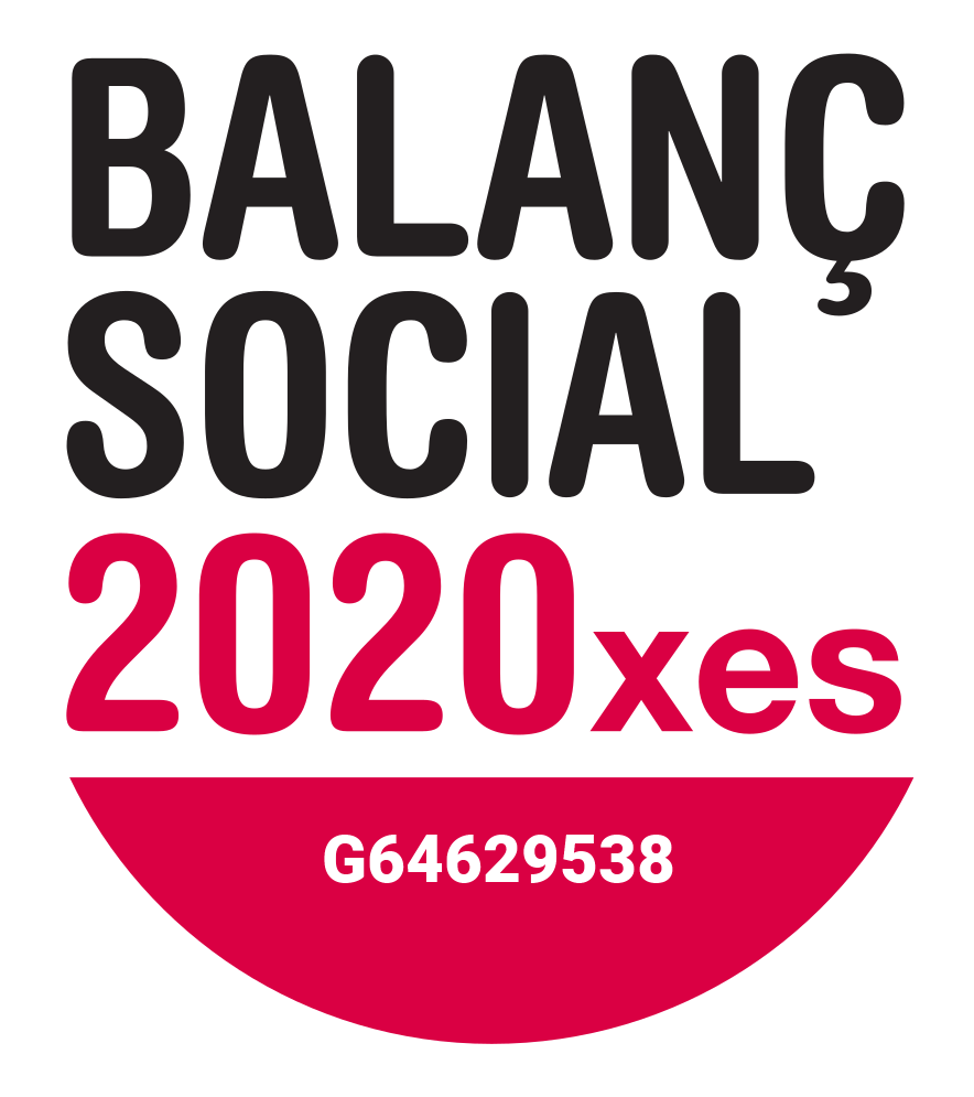 Balanç Social 2020