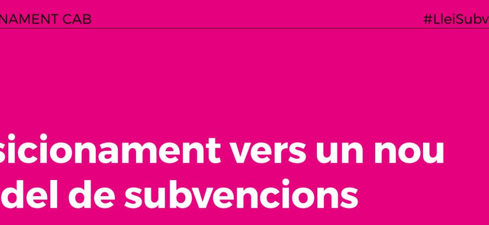 llei subvencions3