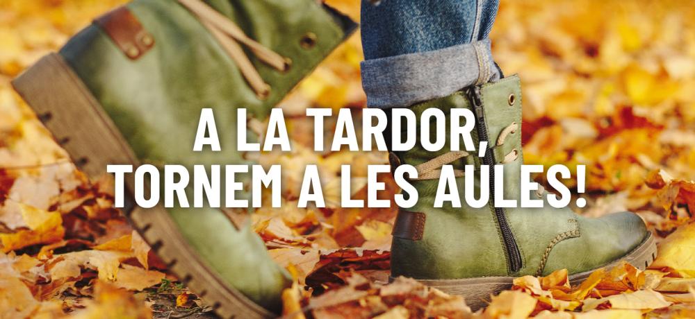 tjformacio tardor