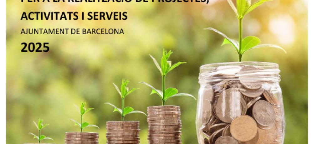 Diagnosi de Subvencions 2025