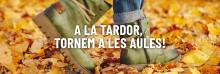 tjformacio tardor