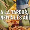 tjformacio tardor